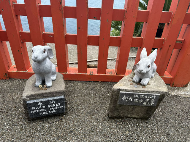 護佑安產結良緣的兔子神明「鵜戶神宮」🐰