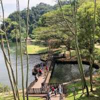 A Serene Escape at Gunung Lang Recreational Park