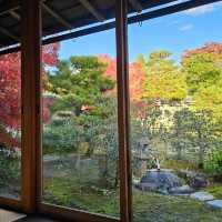 好古園〔双樹庵〕品茶賞楓，悠然古韻。