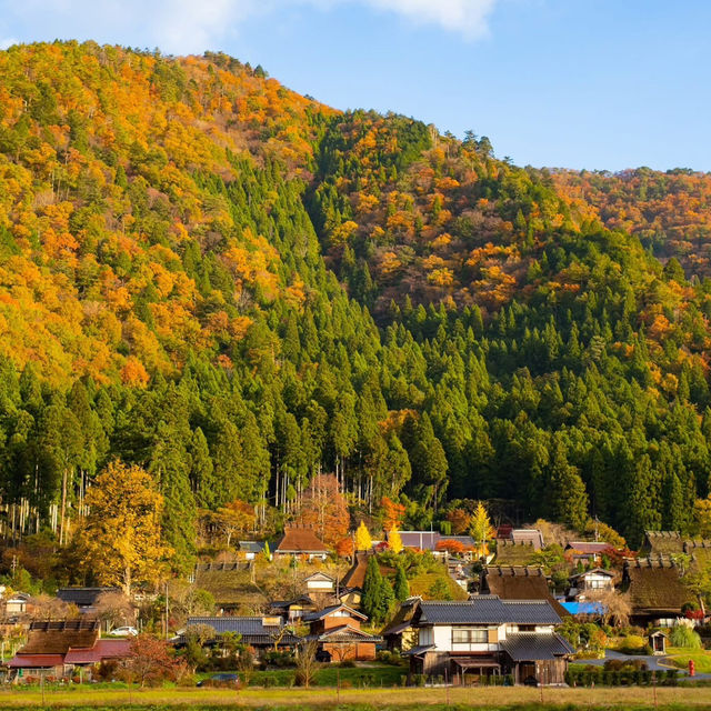Miyama kayabuki  japan