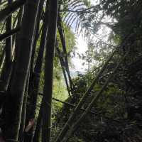Hike at Bung Muan Bau Sarawak