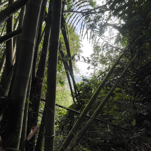 Hike at Bung Muan Bau Sarawak