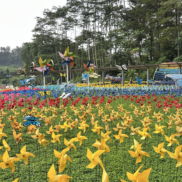 Family Day trip to Cimory Dairyland, Bogor
