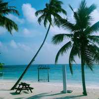 渡假島～Crossroads Maldives