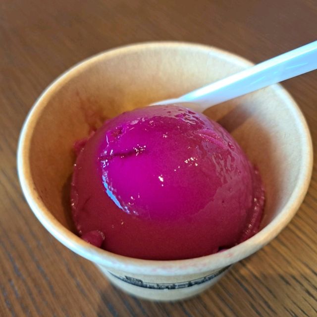 北海道旅遊🥳十勝紅酒工房🍷品嚐紅酒和雪糕的好地方🍦