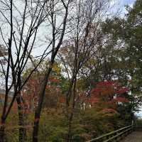 【岐阜観光】岐阜の自然を満喫できる絶景スポット