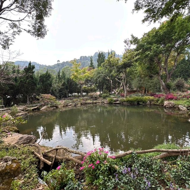 ชมดอกไม้สวยๆ ที่สถานีเกษตรหลวงอินทนนท์