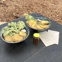 【軽井沢】絶対行くべき！！自然の中に誕生した複合型施設！！