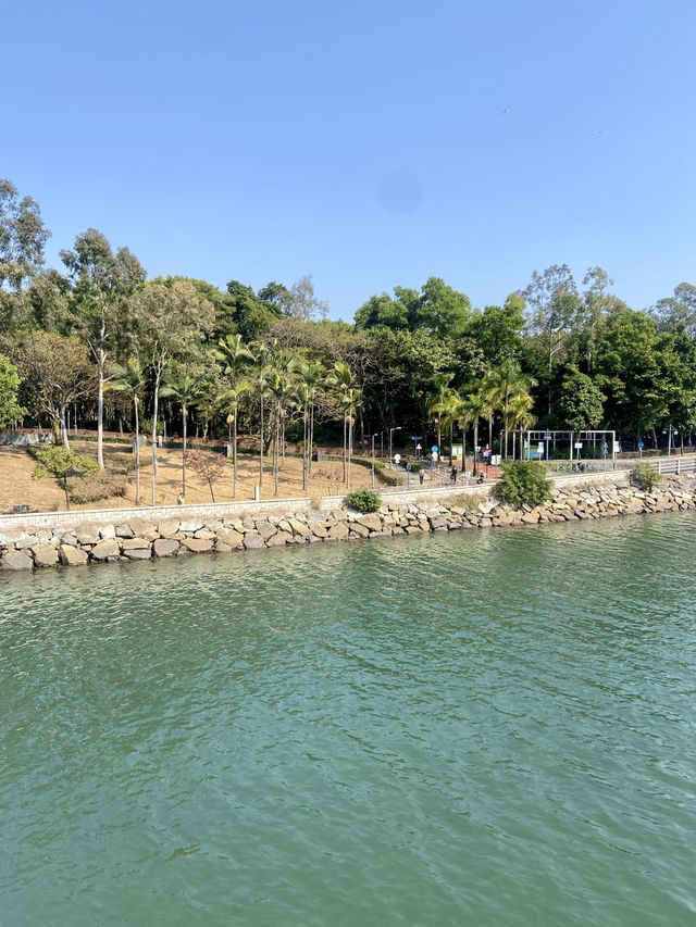 🧘🏻🛀讓人有種說不出寫意「元洲仔公園」🏞️🌸