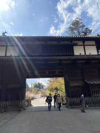 Hirosaki Park: A Cherry Blossom Paradise