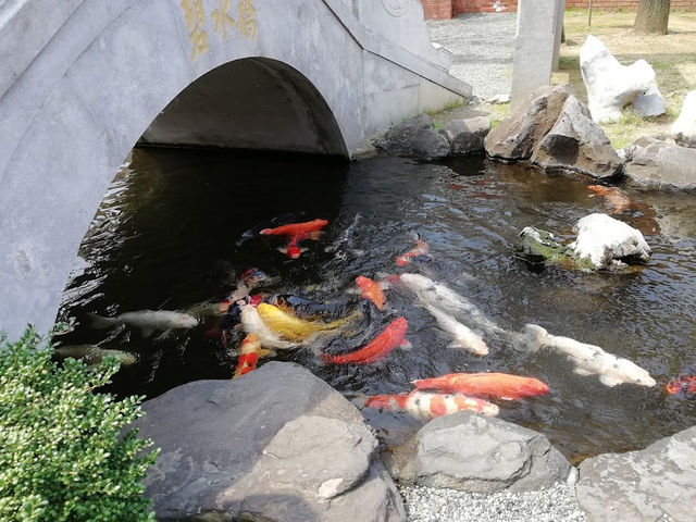 【長崎孔子廟中国歴代博物館】
