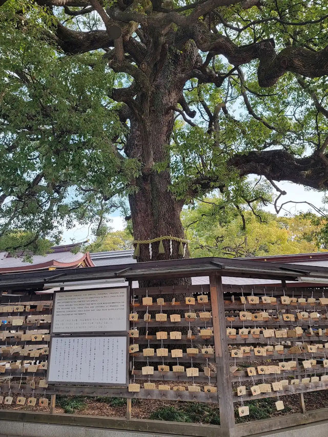 Meiji Jingu