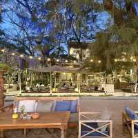  Glass houses boho
