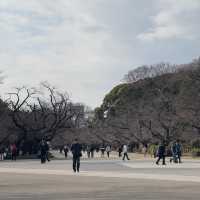 Relaxing time at Ueno Park, Tokyo