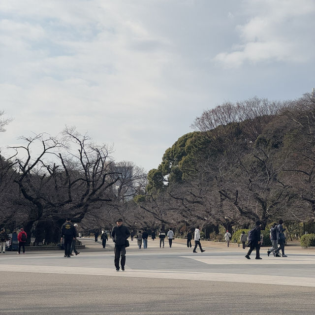 Relaxing time at Ueno Park, Tokyo