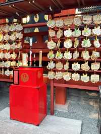 ไหว้พระ ขอพร ที่ศาลเจ้า | คามาคุระ ⛩️🏮