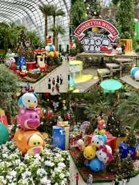 The Nature Enthusiast’s Perspective: A Green Paradise at Garden by the Bay