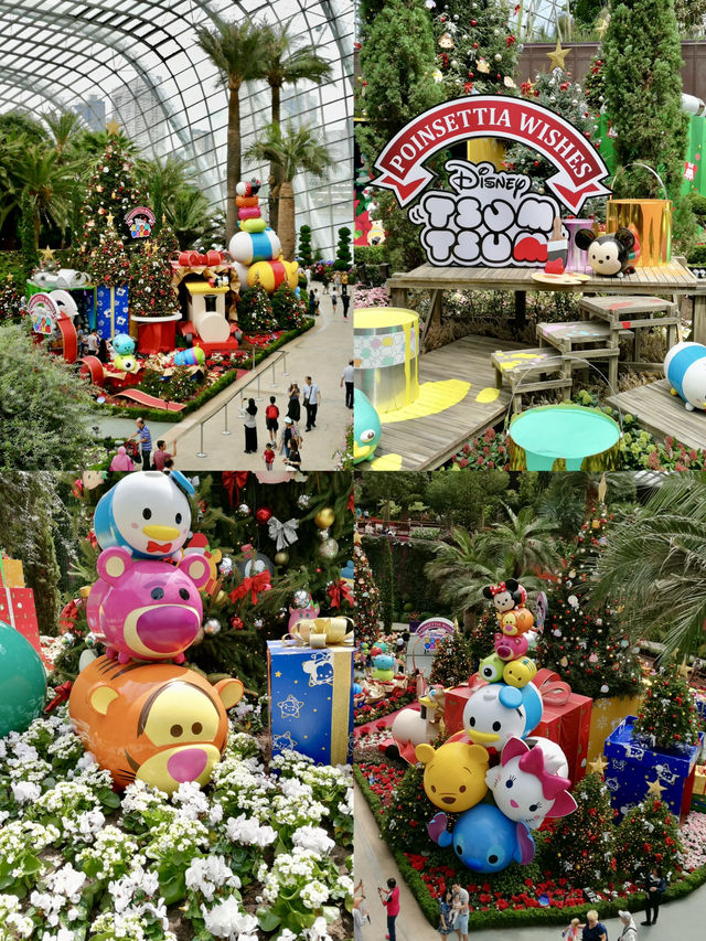 The Nature Enthusiast’s Perspective: A Green Paradise at Garden by the Bay