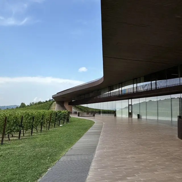🇮🇹推薦義大利托斯卡納酒莊之旅“基安蒂酒莊”