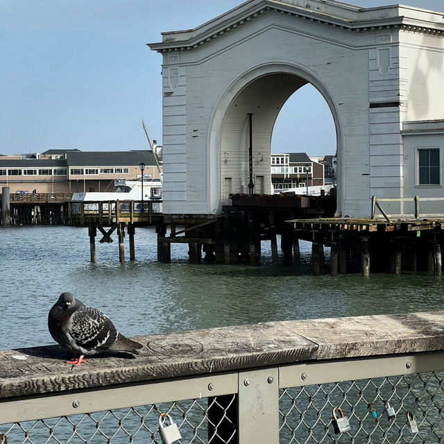 Fisherman's Wharf 淘金潮而湧入城市的漁人碼頭⚓️