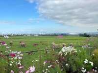 A Scenic Escape with History