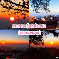 ลานกางเต็นท์ม่อนสน (ดอยอ่างขาง)
