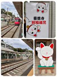 尋找東京🇯🇵招財貓🐱之旅 (二)