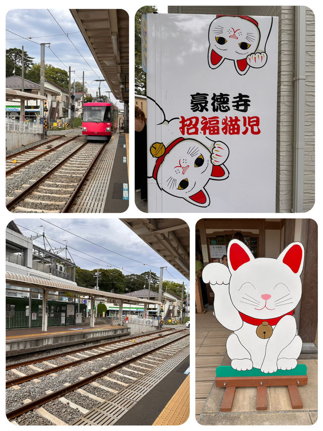 尋找東京🇯🇵招財貓🐱之旅 (二)
