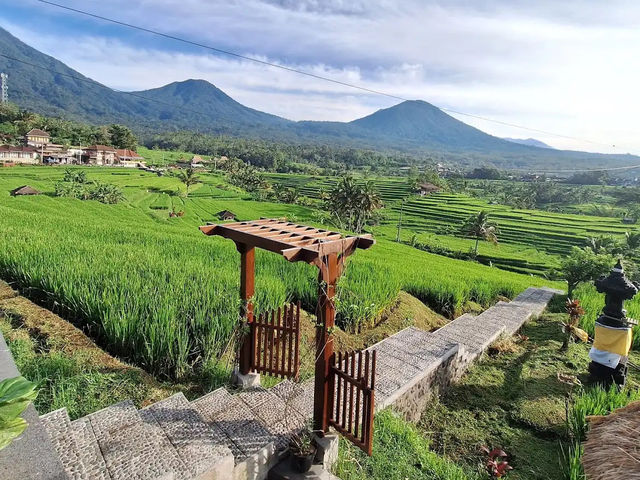 Jatiluwih Rice Terraces
