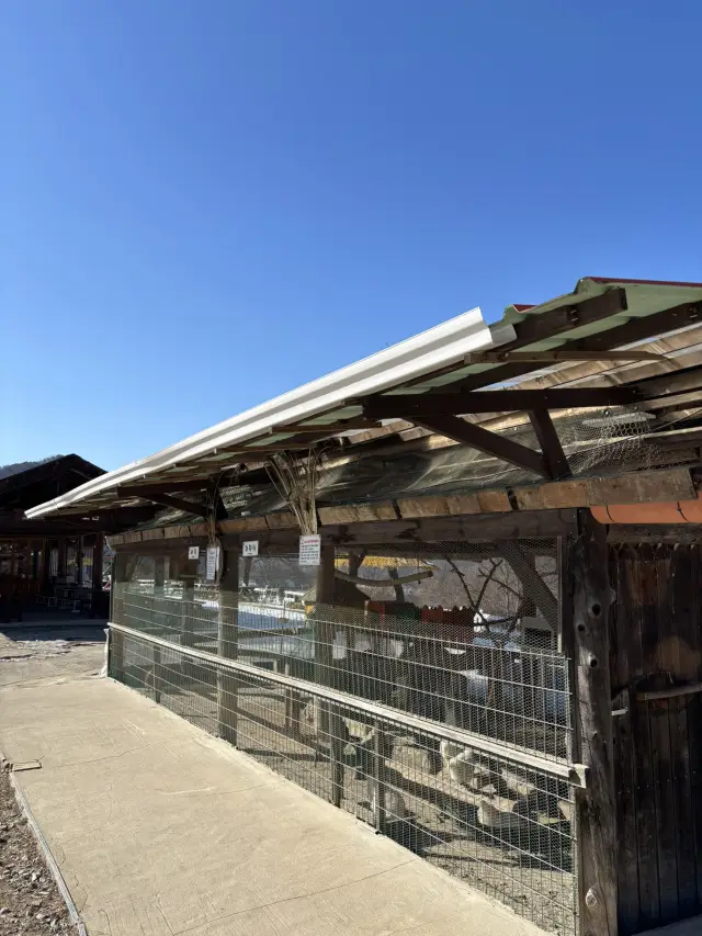 Chuncheon Outdoor Date Farm with Various Experiences🫡