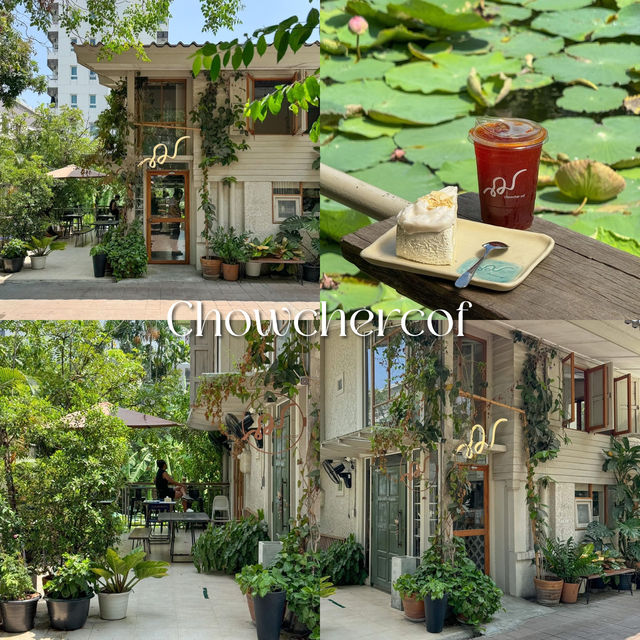 16 คาเฟ่บรรยากาศสุดกรีน “กรุงเทพฯ” ☕️🍃💚