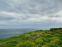 The Nobbies Viewpoint: Nature’s Grand Finale