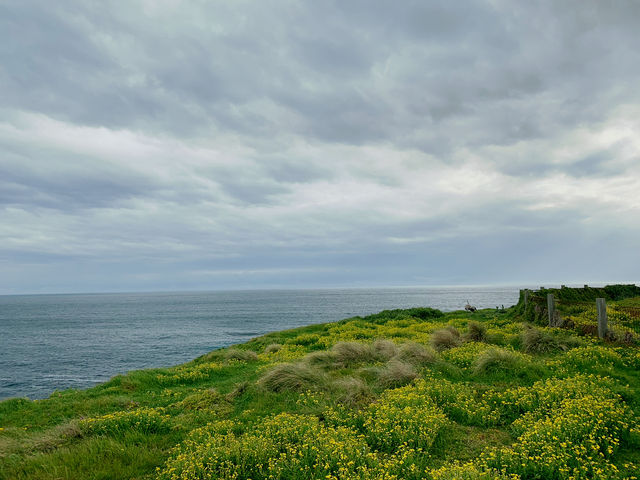 The Nobbies Viewpoint: Nature’s Grand Finale