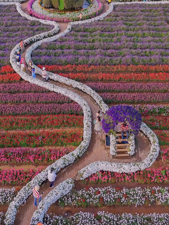 ชอบดอกไม้ก็ต้องสวนดอกไม้