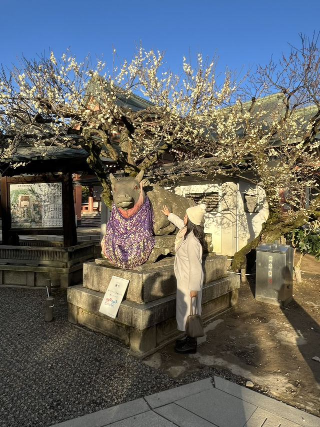 北野天滿宮賞梅