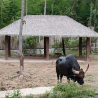 Night Safari แบบเที่ยวกลางวัน 
