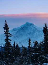 Into the Wild – My Winter Adventure in Denali National Park, Alaska