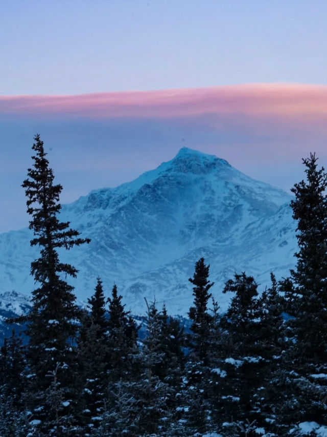Into the Wild – My Winter Adventure in Denali National Park, Alaska