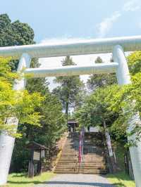 【福島】花手水×御朱印🏵️ 会津藩祖を祀る「土津神社」⛩🌸 
