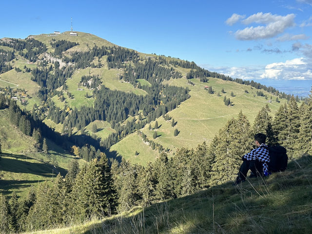 The Queen of the Mountains: Hiking Up Mount Rigi