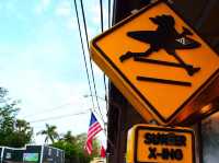 🇺🇸【ハワイ】HALEIWA ⭐︎North Shore(^^)サーフィンの聖地🏄