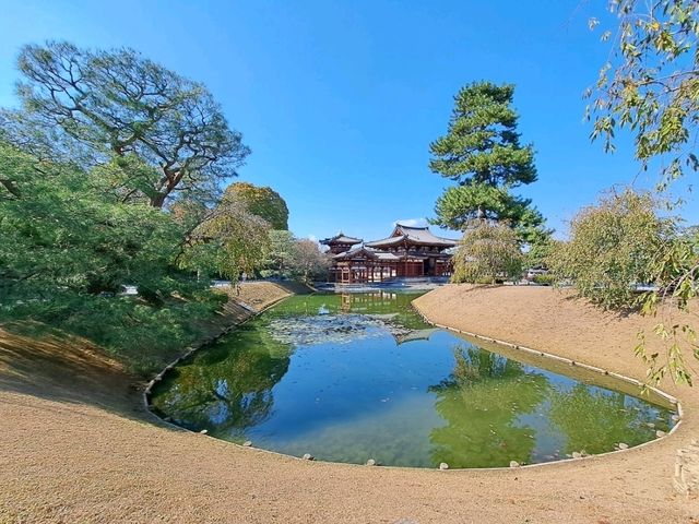 宇治〔鳳凰堂〕晴天倒影，美如畫卷的平等院