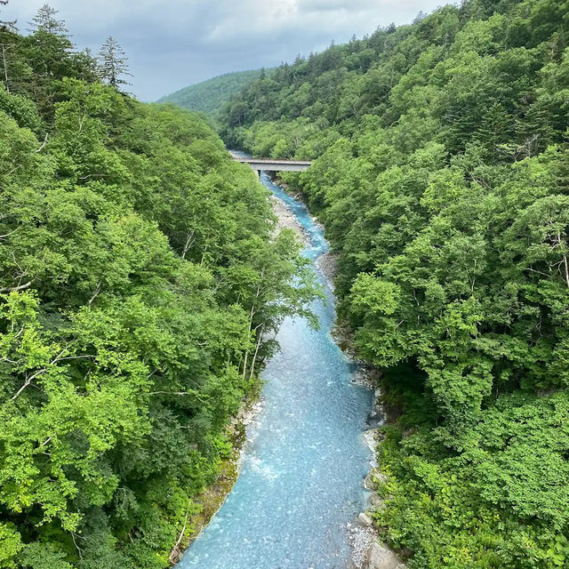 白ひげの滝