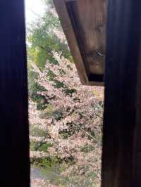 🏯 福岡城跡（舞鶴公園內）