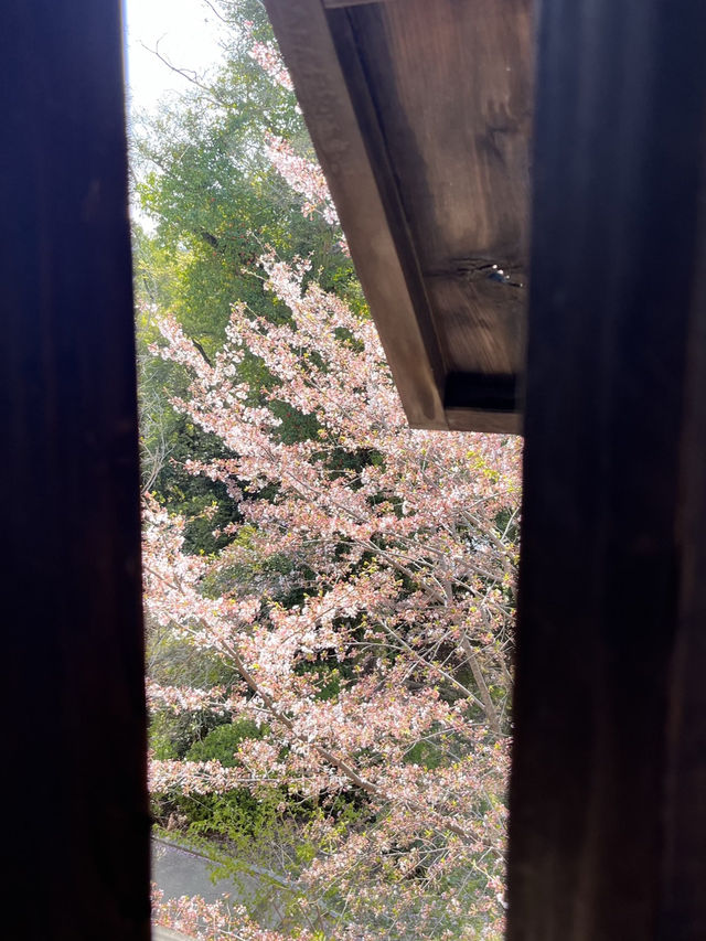 🏯 福岡城跡（舞鶴公園內）