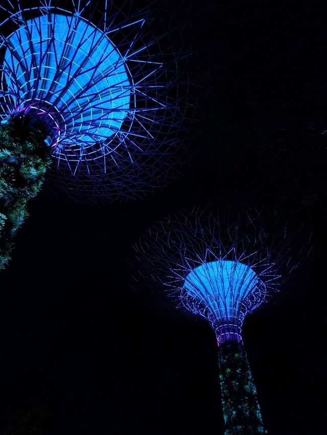 📍SuperTree Grove