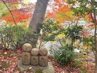 【鎌倉】ひとり旅にオススメ！心もお腹も大満足！