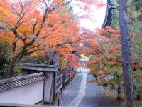 Điểm đến lý tưởng vào mùa thu tại Kyoto