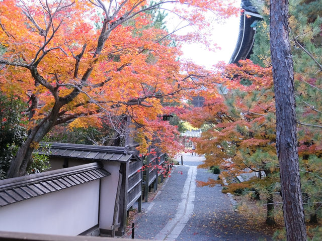 Điểm đến lý tưởng vào mùa thu tại Kyoto