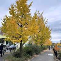 Osaka Castle (大阪城) – A Must-Visit Historic Landmark